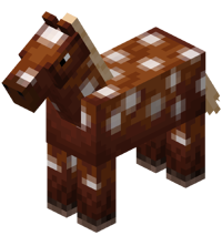 Chestnut Horse with White Spots