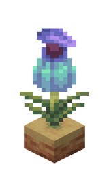 Rosnący dzbanecznik Faza 4