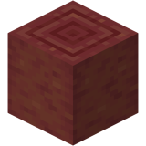 Okorowany namorzynowy pień