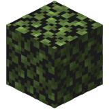 Brzozowe liście(Fast)