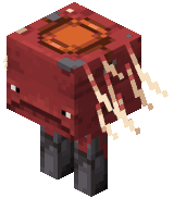 Osiodłany chodziaż