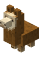 Baby llama brown