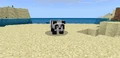 Zmartwiona panda