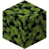 Liście azalii(fast)