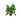 Sadzonka dębu przed Texture Update