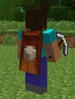 MineconCape4
