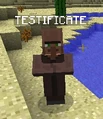 Mieszkaniec wioski w wersji Beta 1.9 Pre-Release 1. Nad głową widoczny napis "TESTIFICATE"