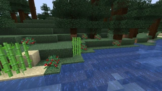 Кусты сладких ягод в тайге