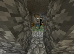 Спаунеры: скелетов и пещерных пауков