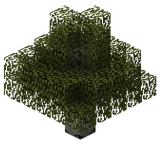 Береза (TerraFirmaCraft)