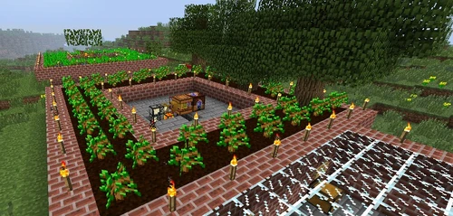 TreeFarm