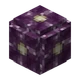 Мёртвый цветок коруса (до Texture Update)