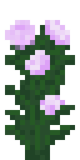 Пион (до Texture Update)