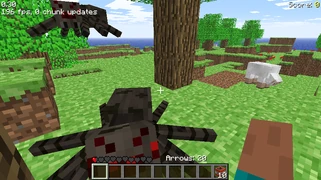 Группа пауков.