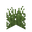 Равнинная трава