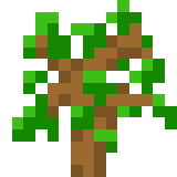 Все виды саженцев деревьев Все виды саженцев деревьев