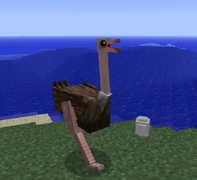 Страусиха с яйцом.