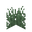 Таёжная трава
