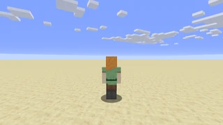 Вид от третьего лица (сзади).png