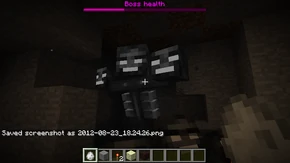 Wither screen