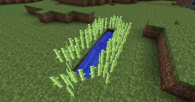 SimpleReedfarm-4