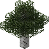 Дерево (берёза)