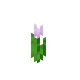 Розовый тюльпан.png