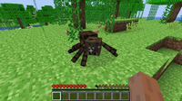 Brown spider1