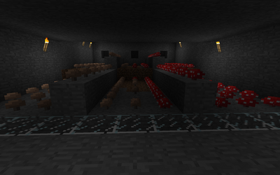 Automatic mushroom farm 11