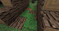 Twilight Forest Moss Patch