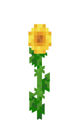 Подсолнечник