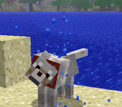 Бумажная модель Прирученный волк (Minecraft)