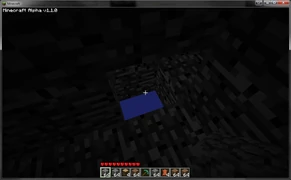 Тут можно увидеть Пустоту сквозь дыру в коренной породе на дне карты.