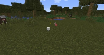 Сырая баранина.