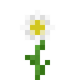 Нивяник (до Texture Update)