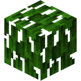 Мод Expansive Biomes для Minecraft