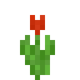 Красный тюльпан (до Texture Update)