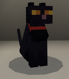 Tamed black cat