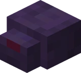 Чешуйница Края