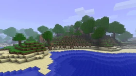 Дождевой лес