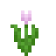 Розовый тюльпан (до Texture Update).png