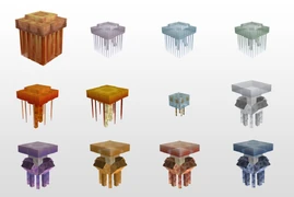 Все виды медуз