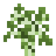 Саженец берёзы (до Texture Update)