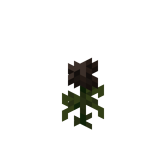 Роза иссушения