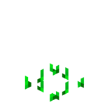 Рост свёклы (до Texture Update)
