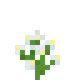 Хаустония серая (до Texture Update)