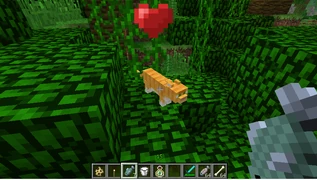 Рыжая кошка