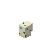 Черепашье яйцо (2).png