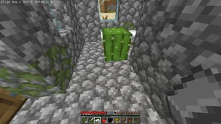 Кактус сгенерировался на булыжнике