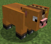 Пони (свинья)